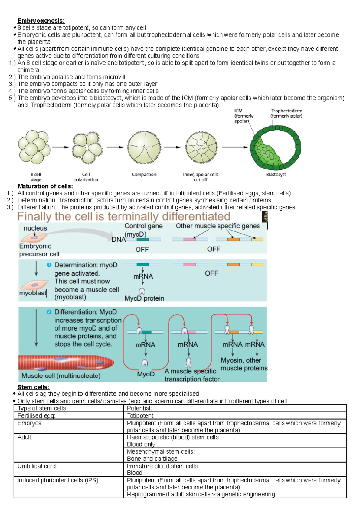 CELS 191 Lecture 33 (Cloning, stem cells and gene therapy