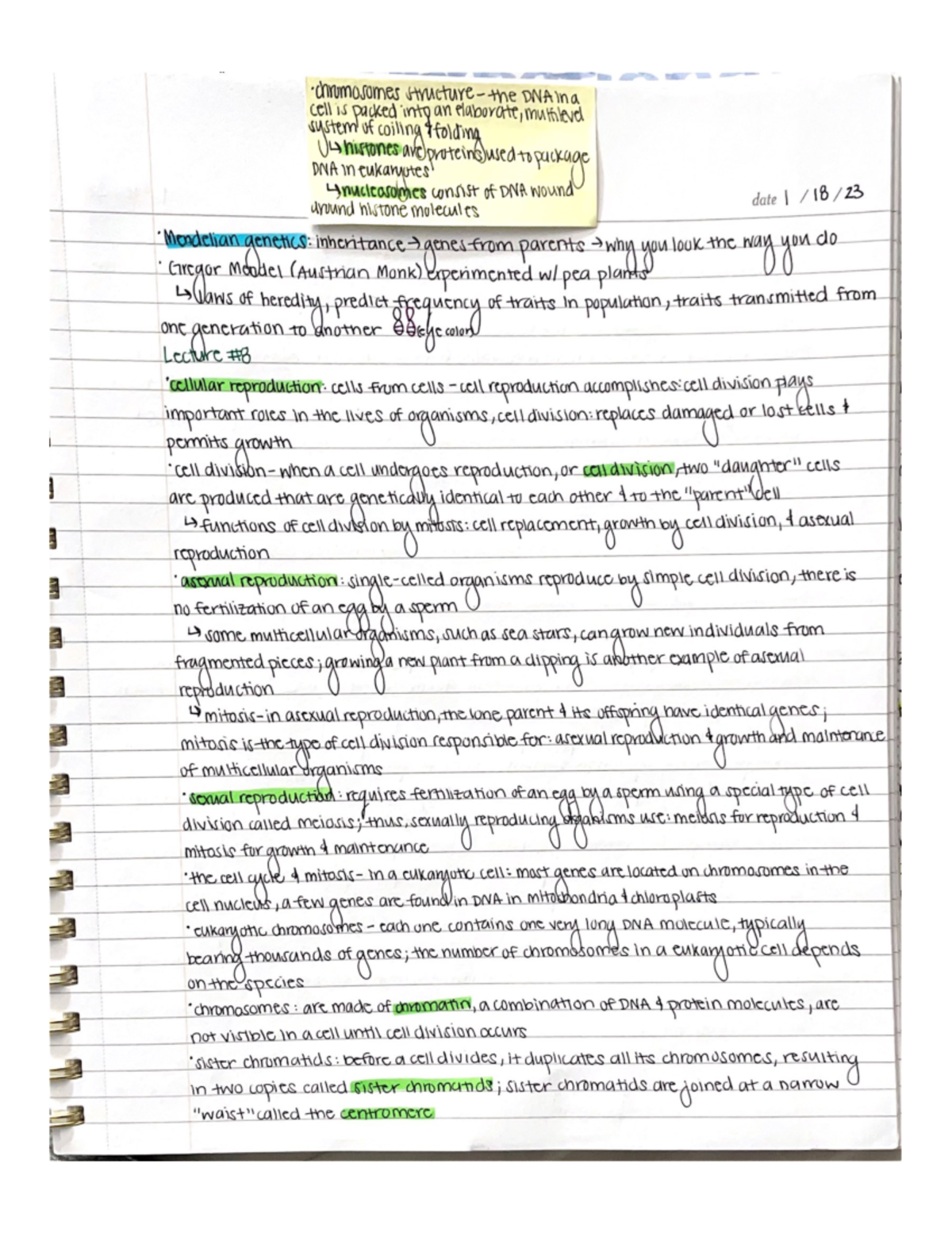 Biology Lecture 8 - BIO-1 - Studocu