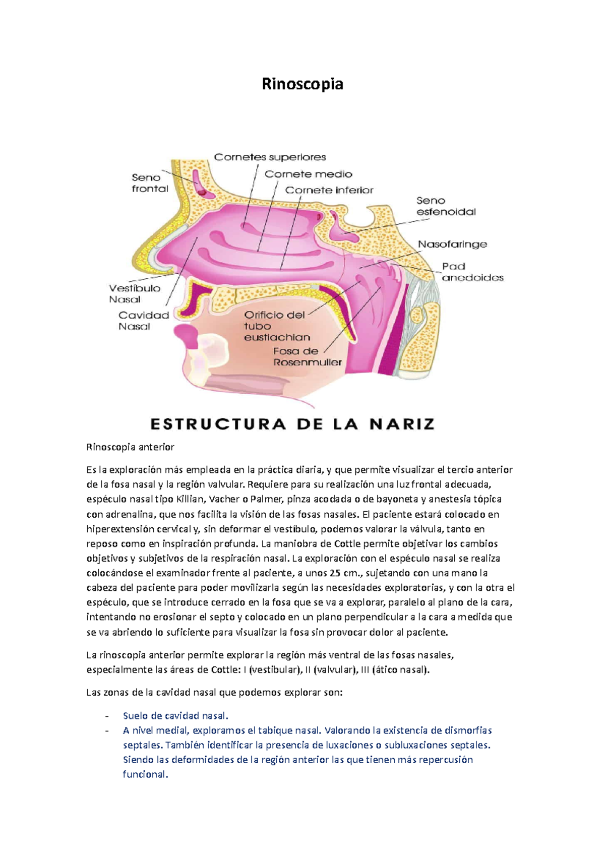 Rinoscopia - Espero que les guste - Rinoscopia Rinoscopia anterior Es ...