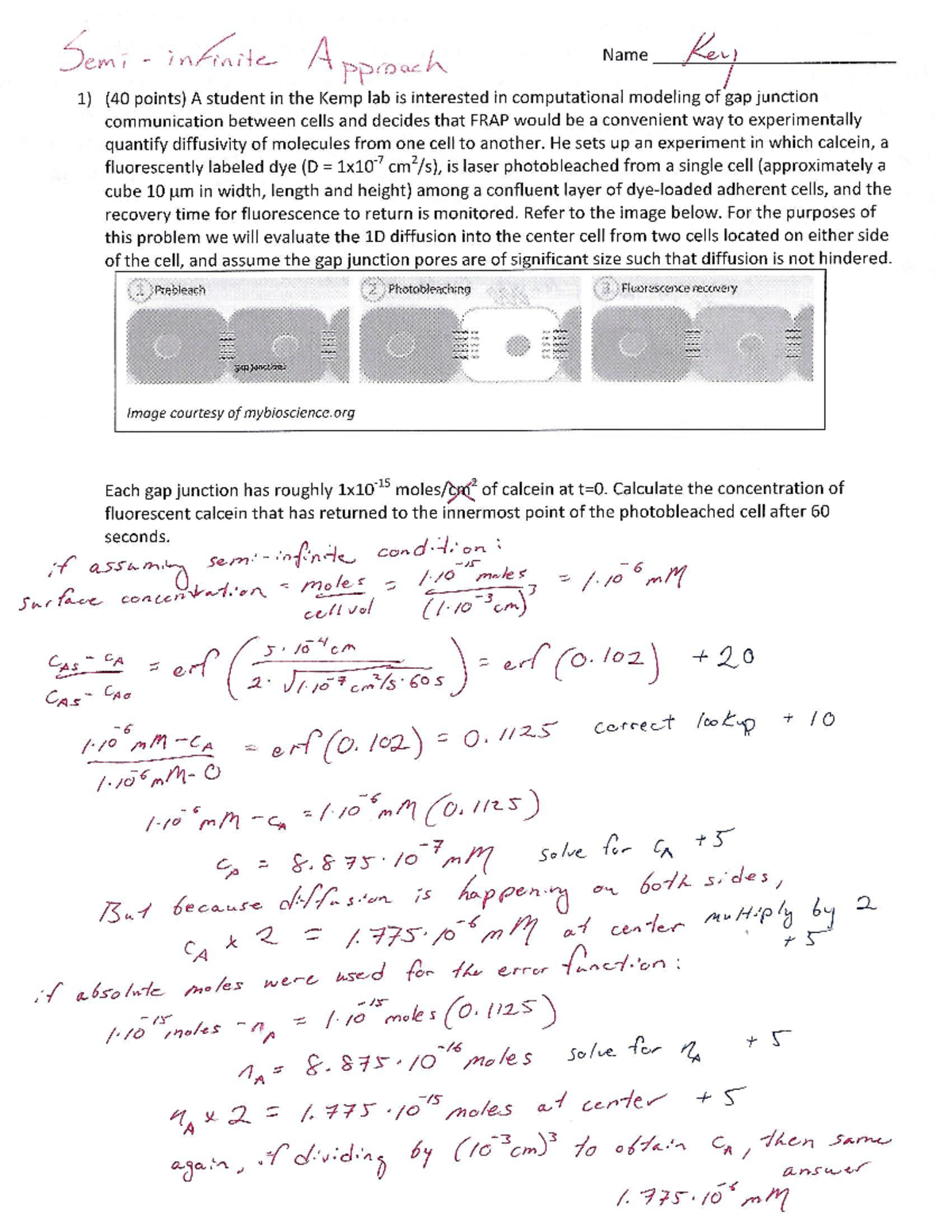 Test 400 And Deca 300 Cycle Ethier Term+Test+2+Solutions - BMED 3300 - Studocu