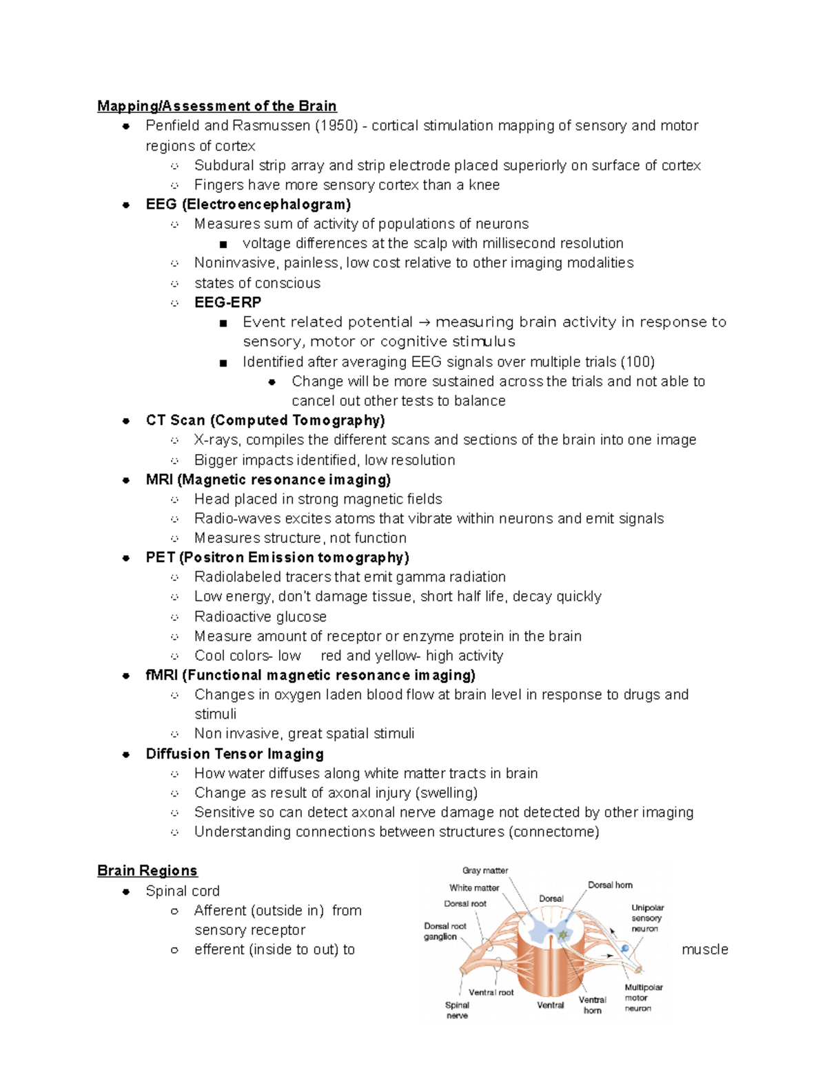 Psych 1010 Lecture 9 14 Mapping/Assessment of the Brain Penfield and