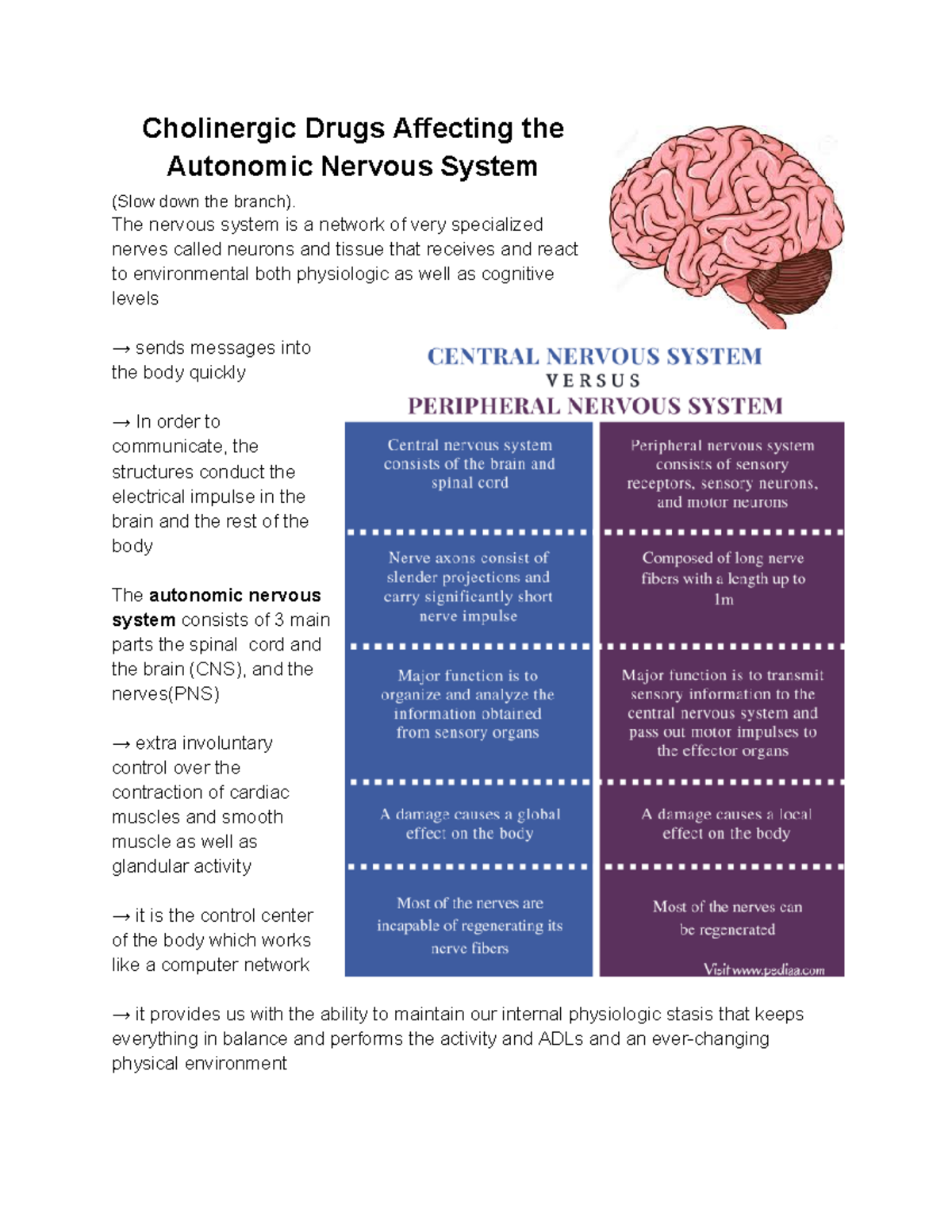 write an essay on cholinergic drugs