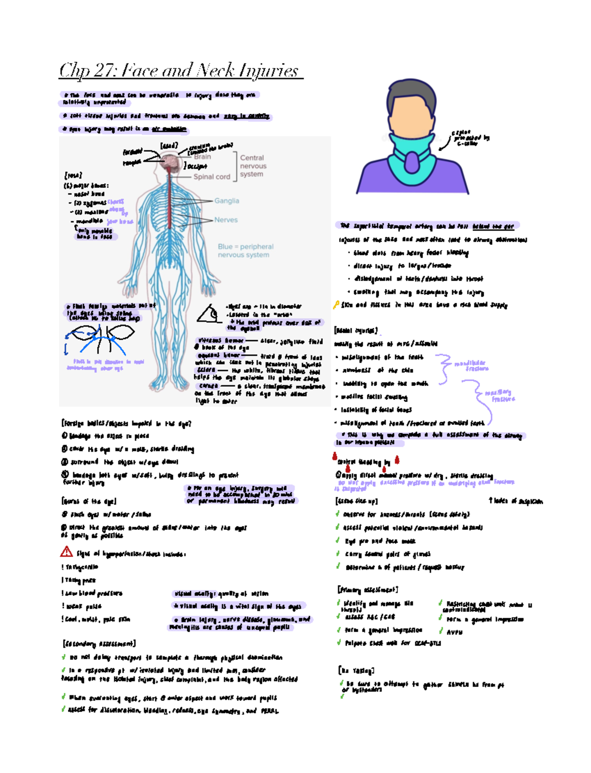 Chp 27 Face and Neck Injuries - Chp 27: Face and Neck Injuries ...