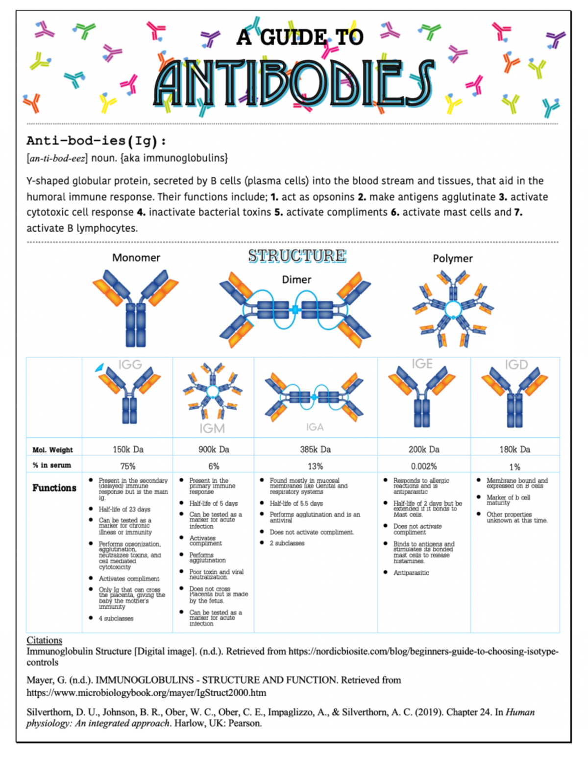 Antibodies Infographic Notes PATH 370 Studocu
