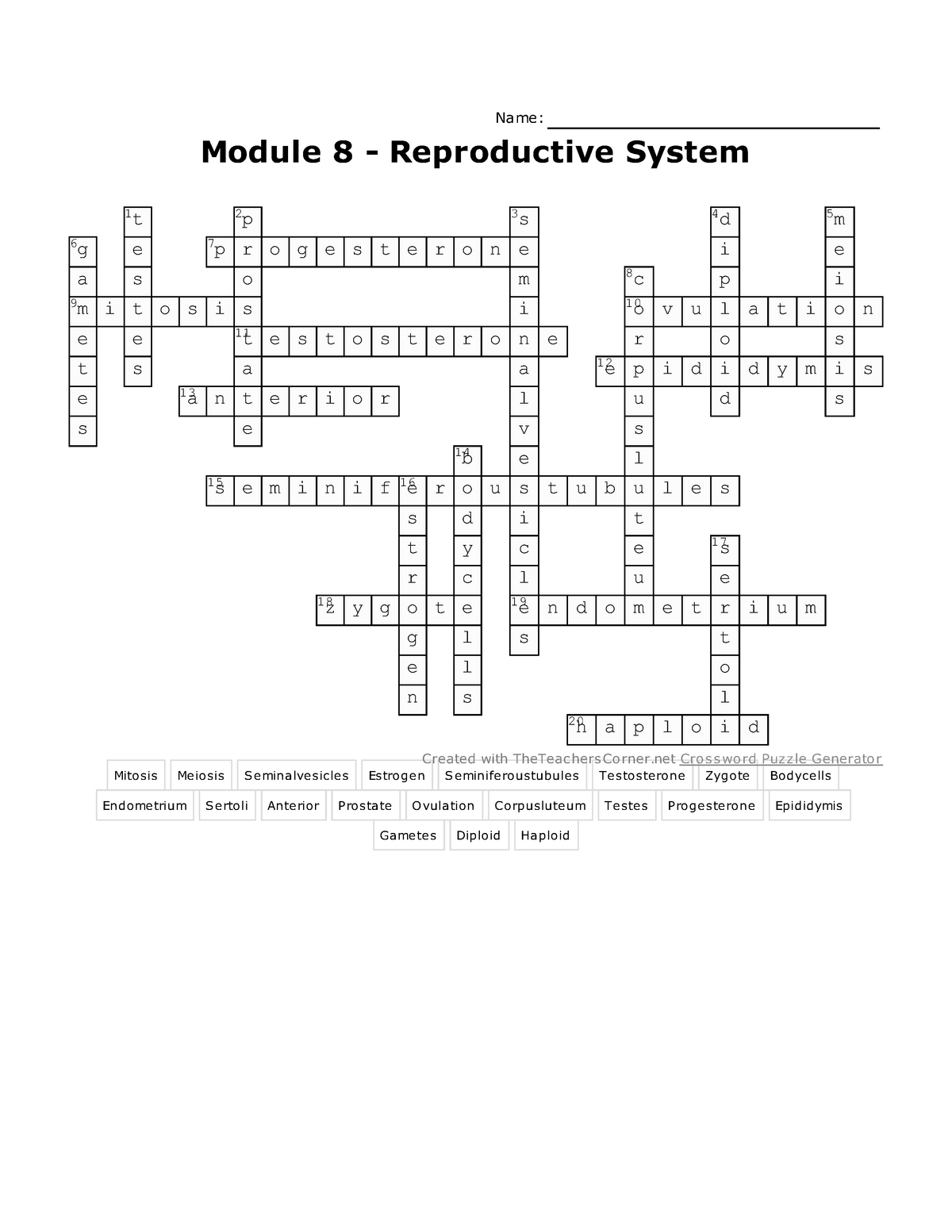 Module 8 Reproductive System Crossword Answers Name Module 8 Reproductive System 1 2 T 6