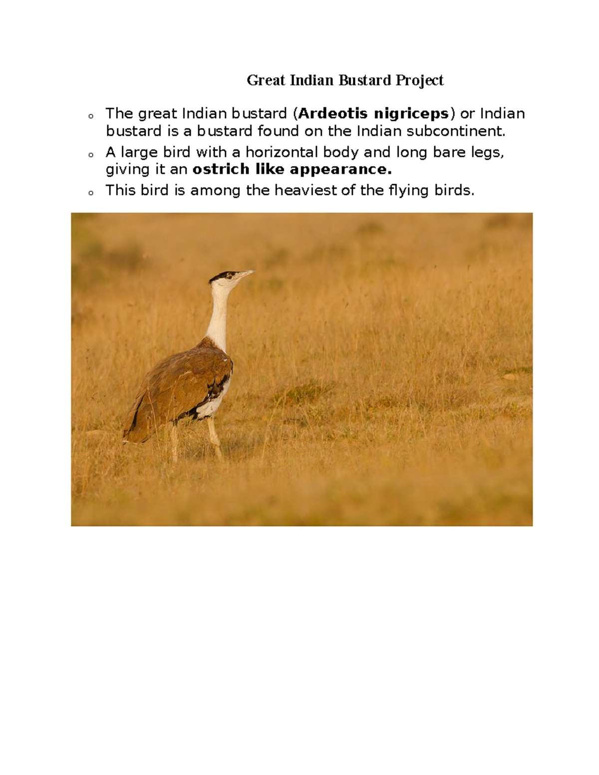 1586612495 HS(H)-II-EM-great indian bustard project - Great Indian ...