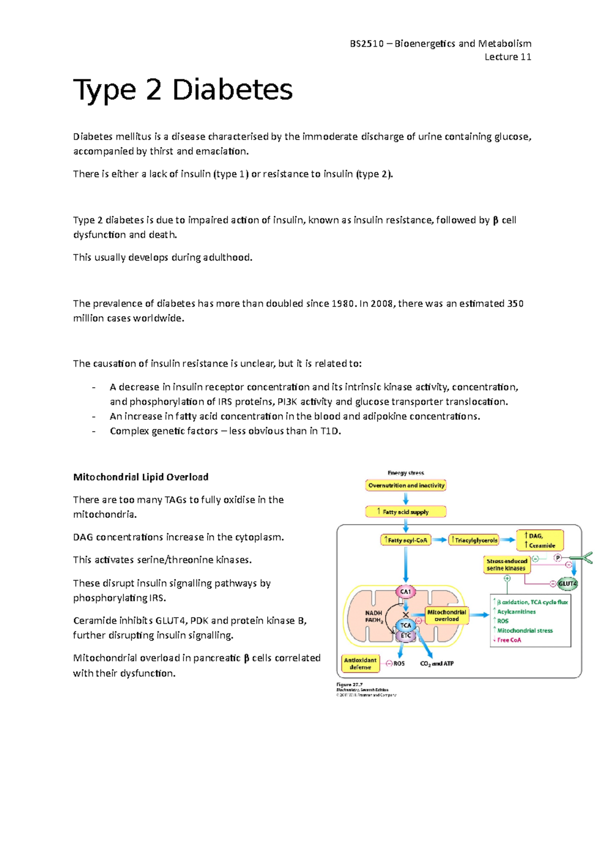 11 - Type 2 Diabetes - Lecture notes 11 - BS2510 – Bioenergeics and ...