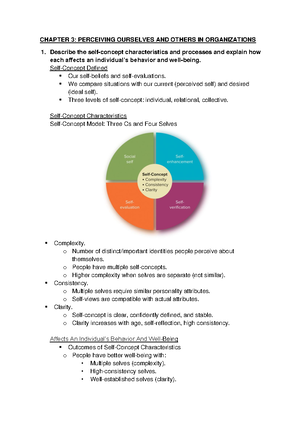 Chapter 2 - Individual Differences Personality AND Values - CHAPTER 2 ...