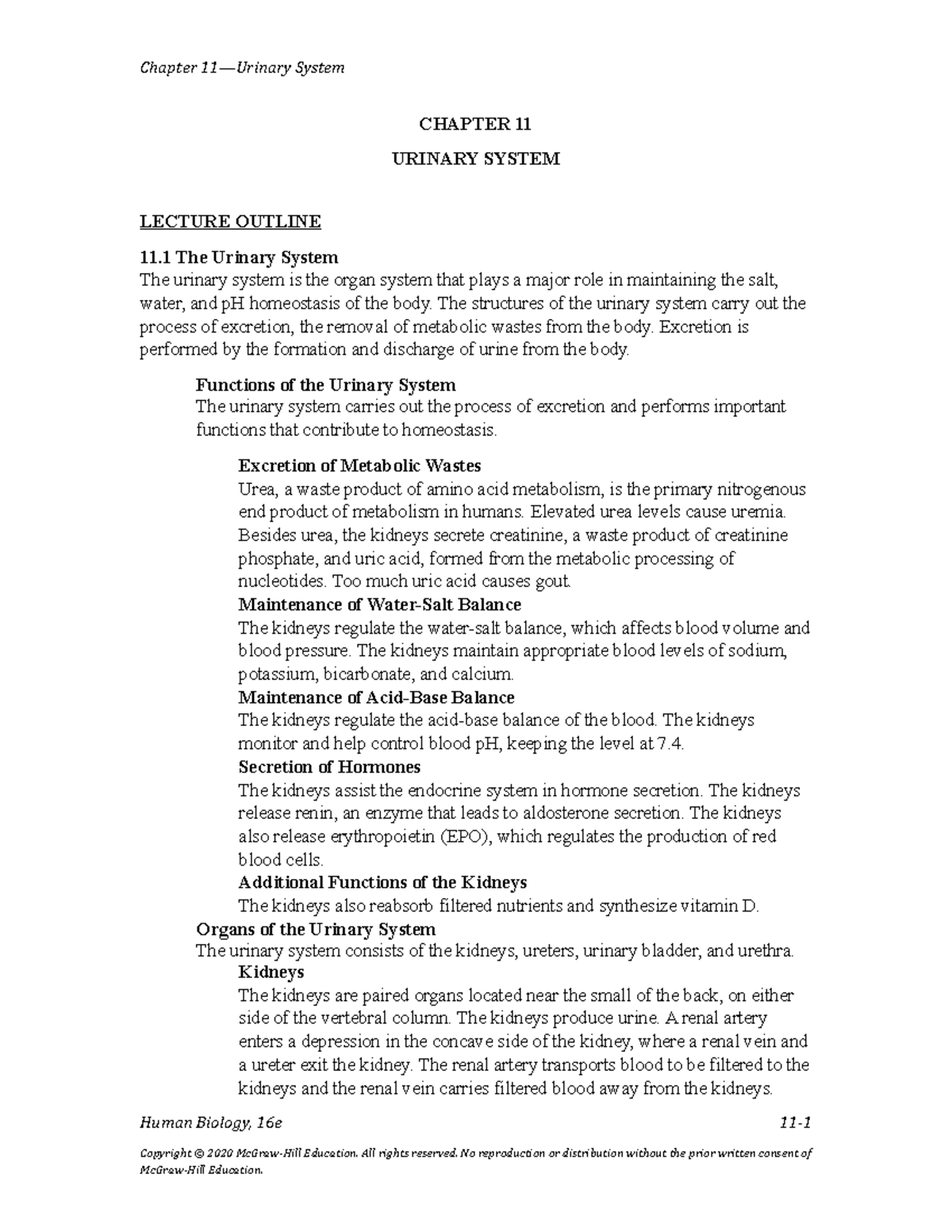 Chapter+-+11+Notes+%28Lecture+Outline%29 - CHAPTER 11 URINARY SYSTEM ...