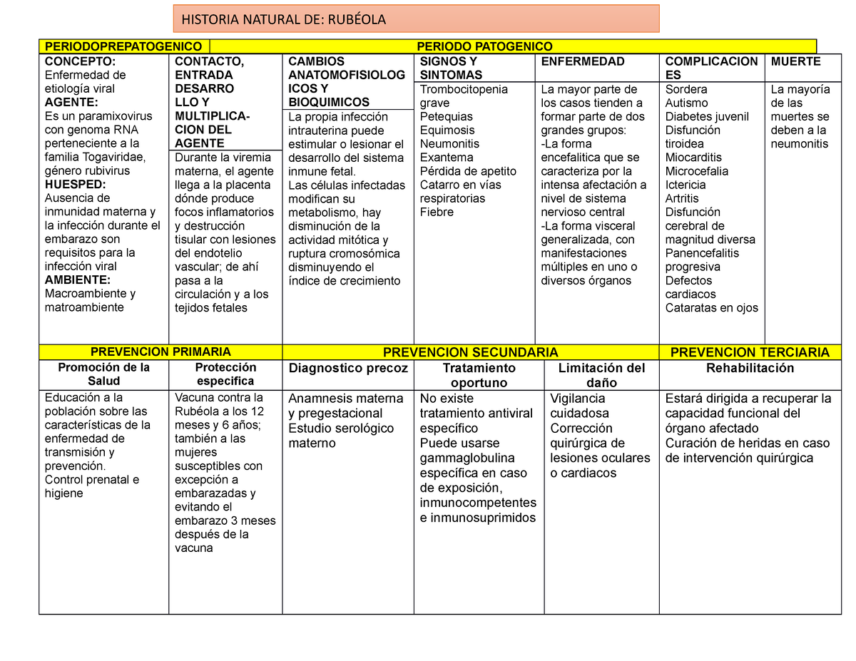 Actividad Historia Natural De La Enfermedad Rubeola By Pablo Israel