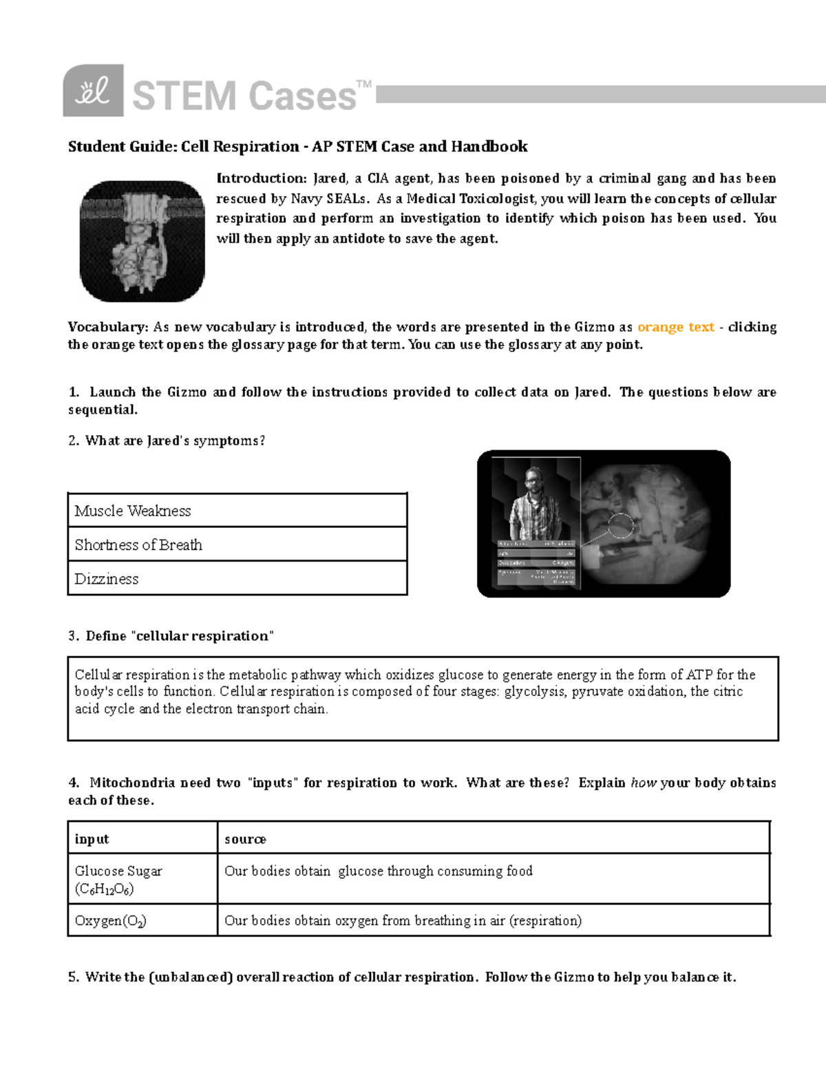 cellular respiration case study gizmo answers