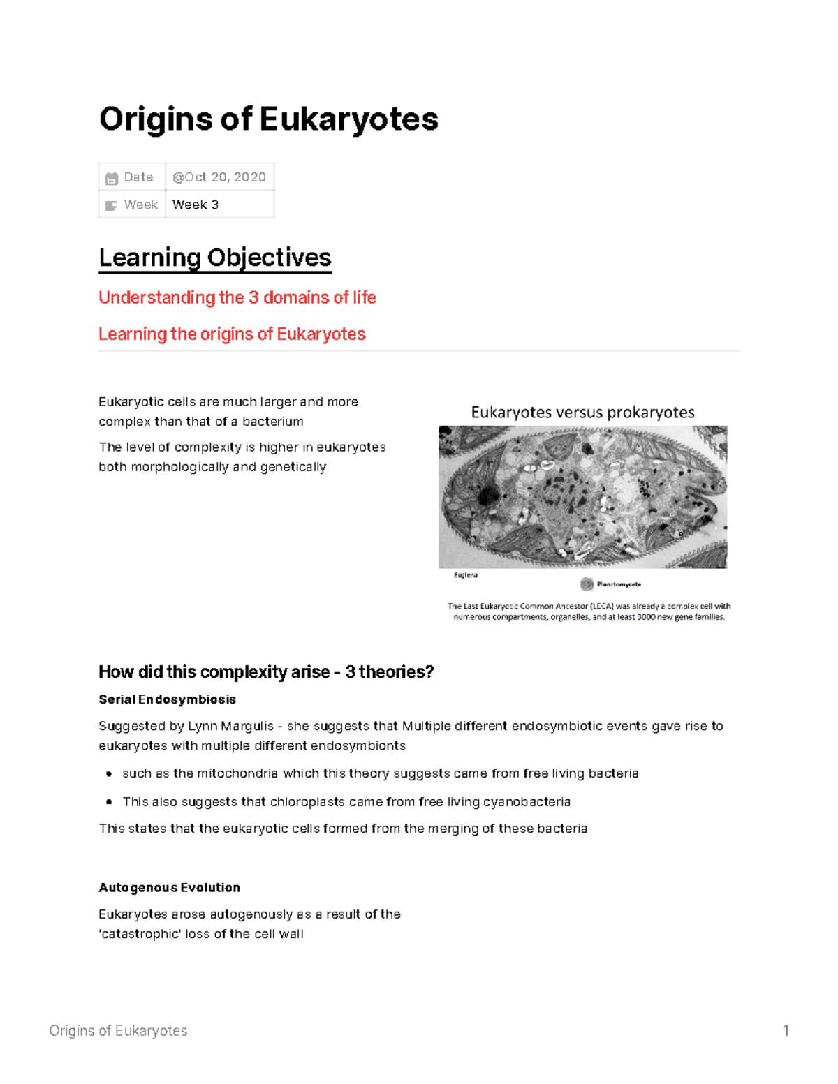 Origins of Eukaryotes - Lecture notes 4 - Origins of Eukaryotes Date ...