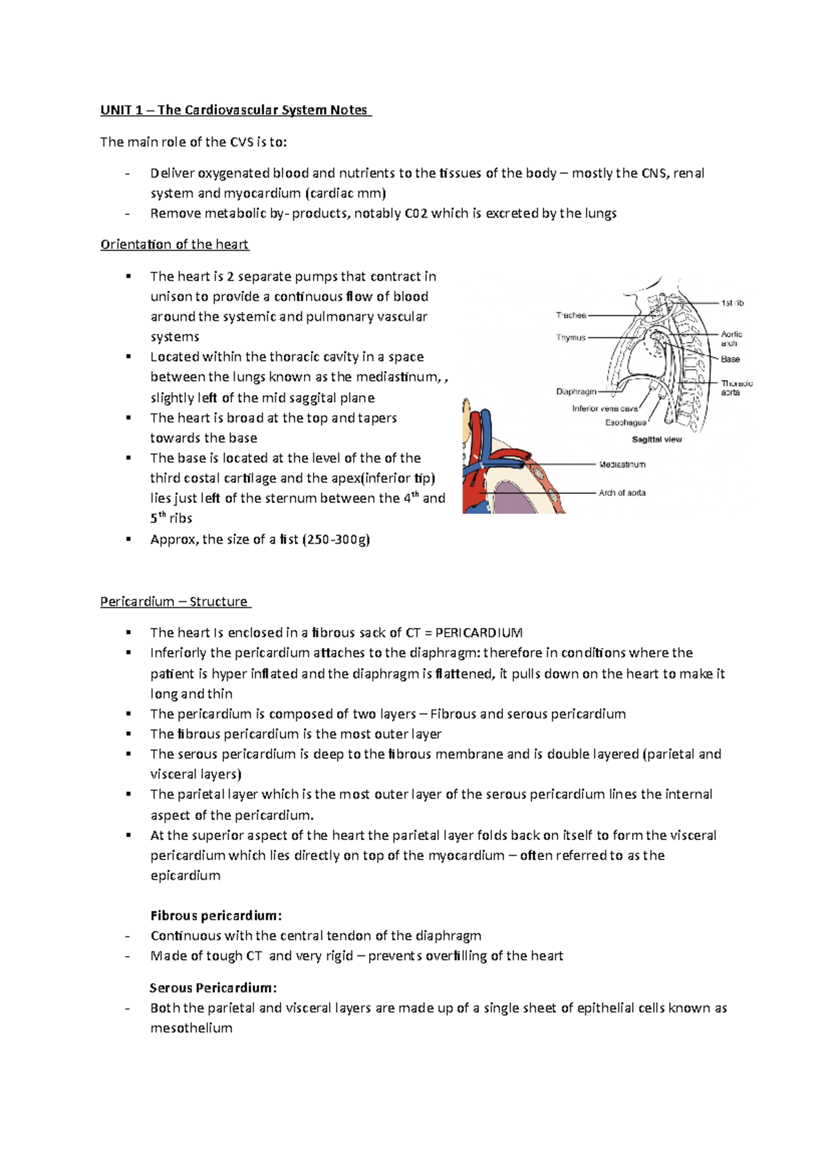 UNIT 1 notes - The cardiovascular system - UNIT 1 – The Cardiovascular ...