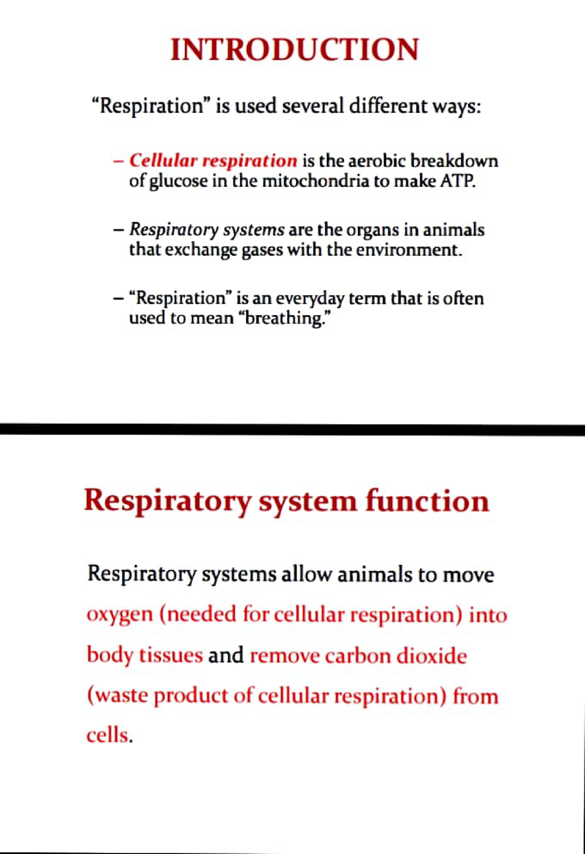 respiratory system essay introduction