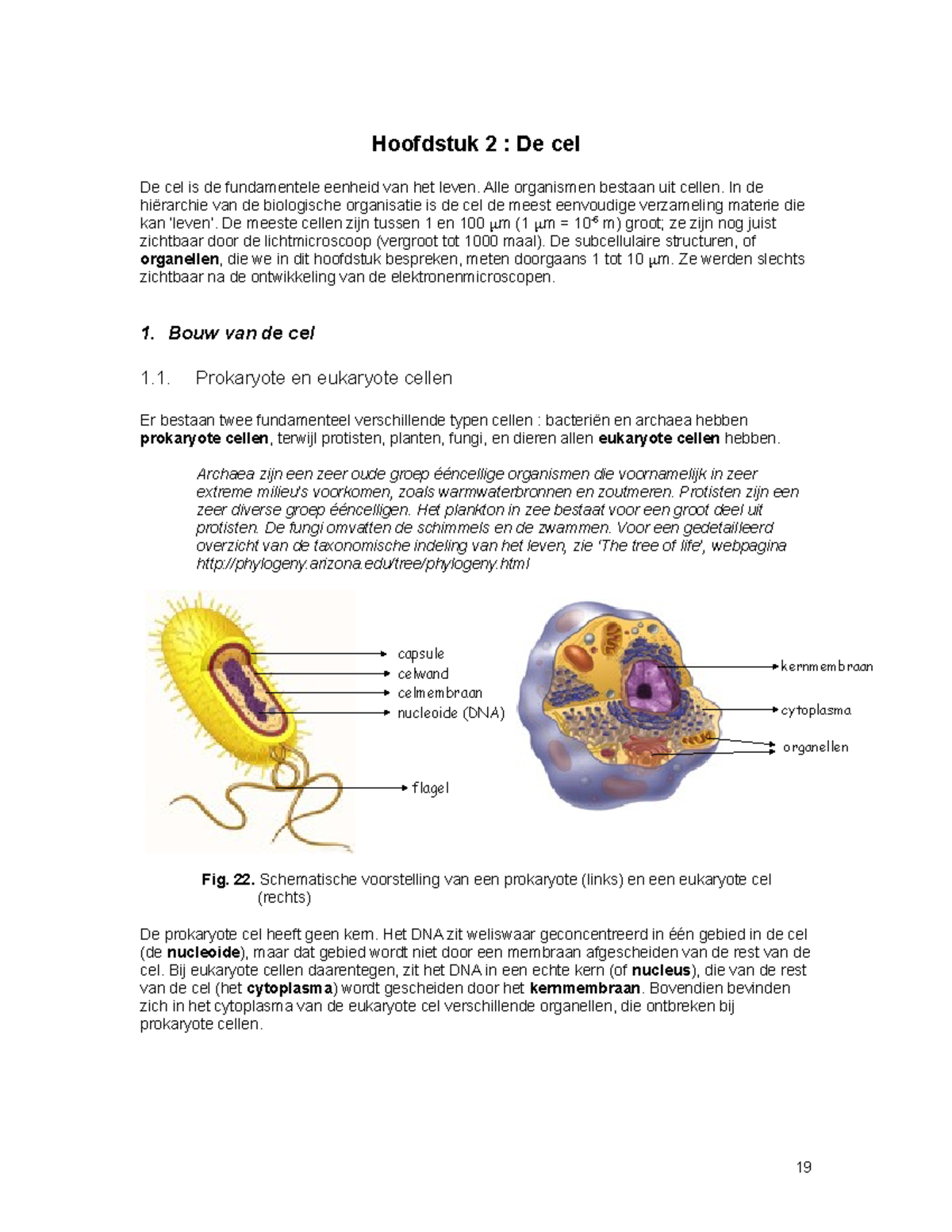 Samenvatting Biology Of Microorganisms College Hoofdstuk 2 - Hoofdstuk ...