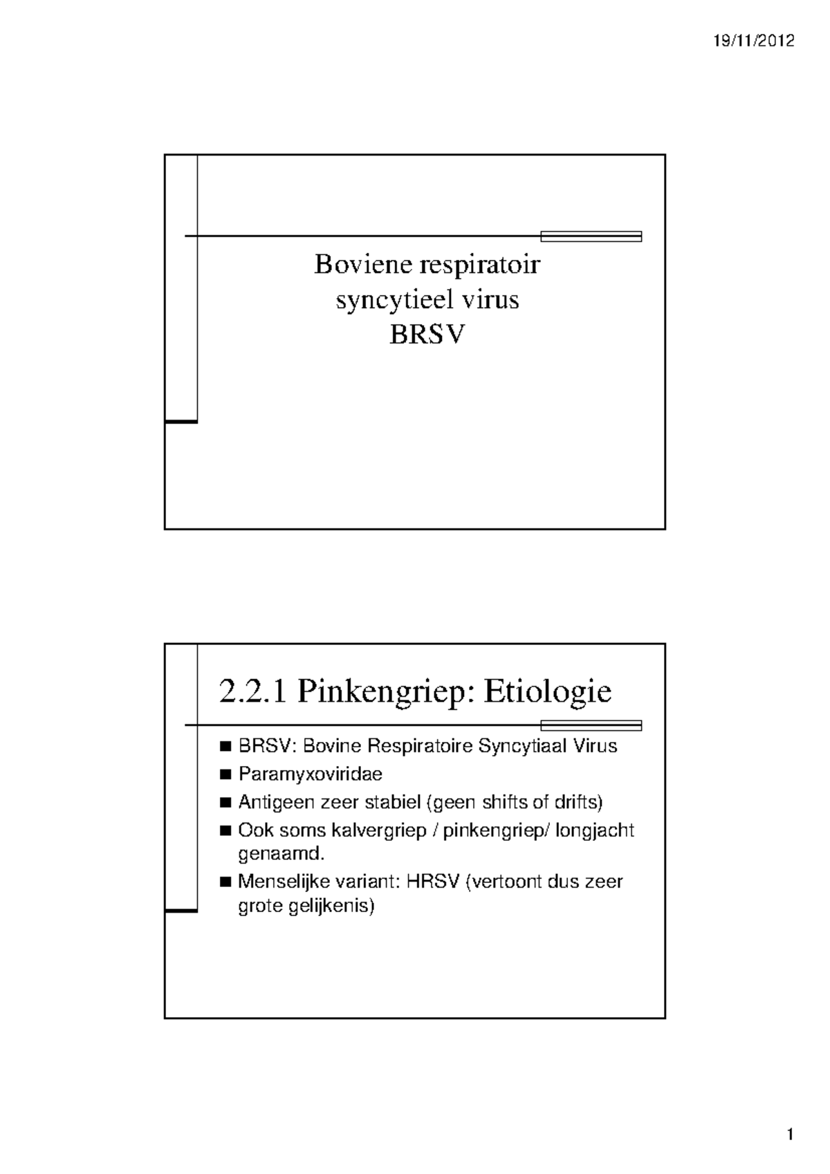 Pathologie landbouwdieren - RUND pinkengriep, RSV - Boviene respiratoir ...