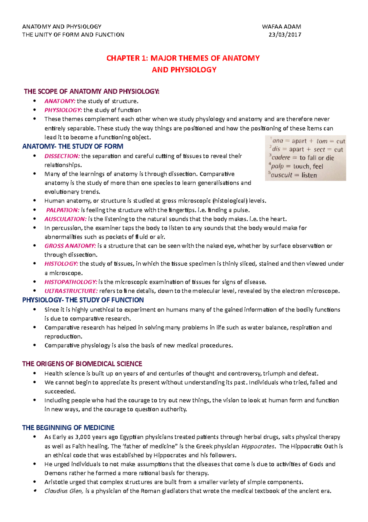 Summary Functional Human Anatomy Biology Diagrams