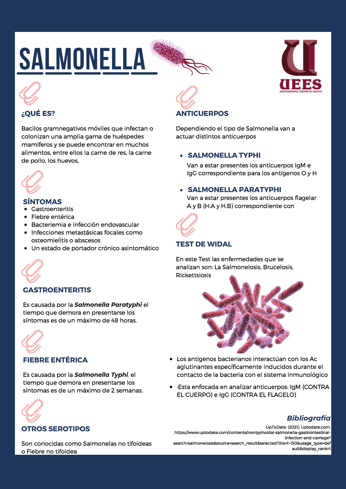 Canva Salmonella - Cristhian Chango - SALMONELLA TEST DE WIDAL En Este ...