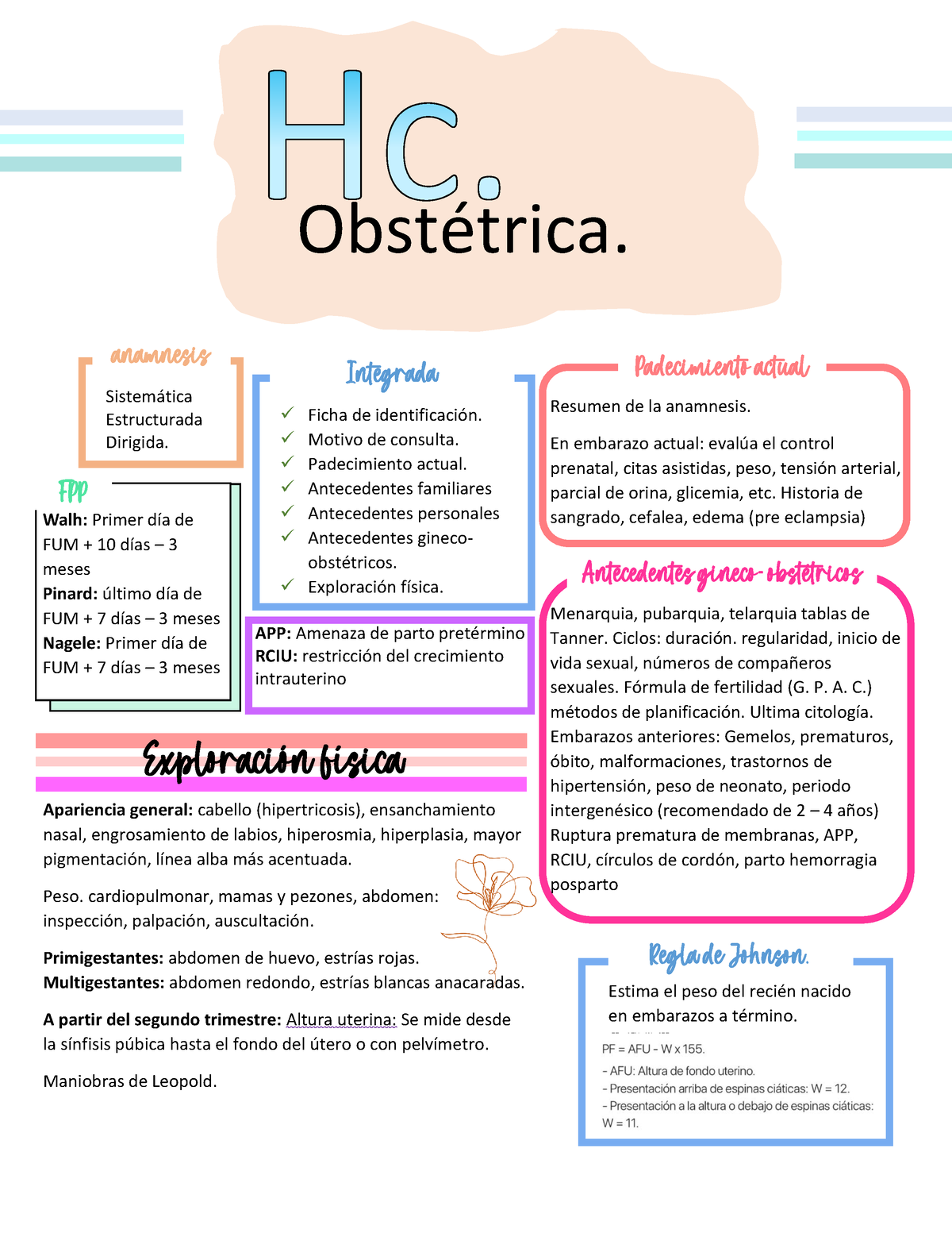 Hc Obstétrica Resumen De La Historia Clínica En Obstetricia Obstétrica Anamnesis Integrada 8085
