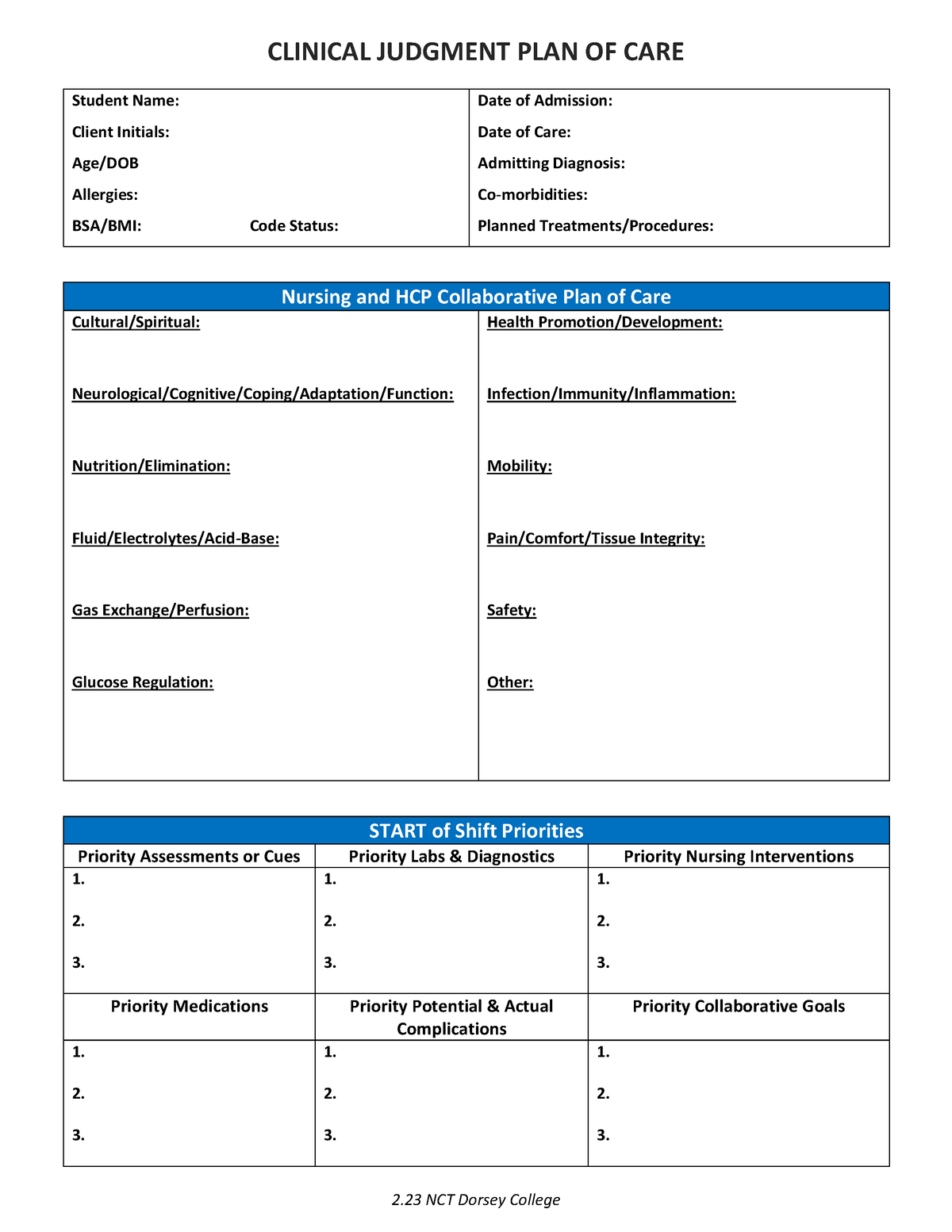 Clinical+Judgement+Plan+of+Care+%283%29 2 - CLINICAL JUDGMENT PLAN OF ...