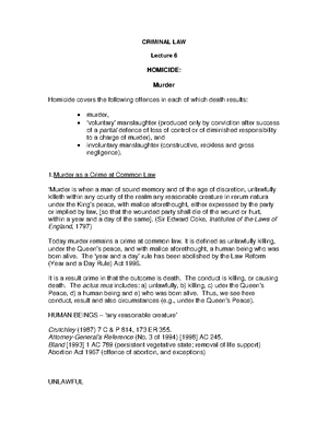 What is voluntary manslaughter image