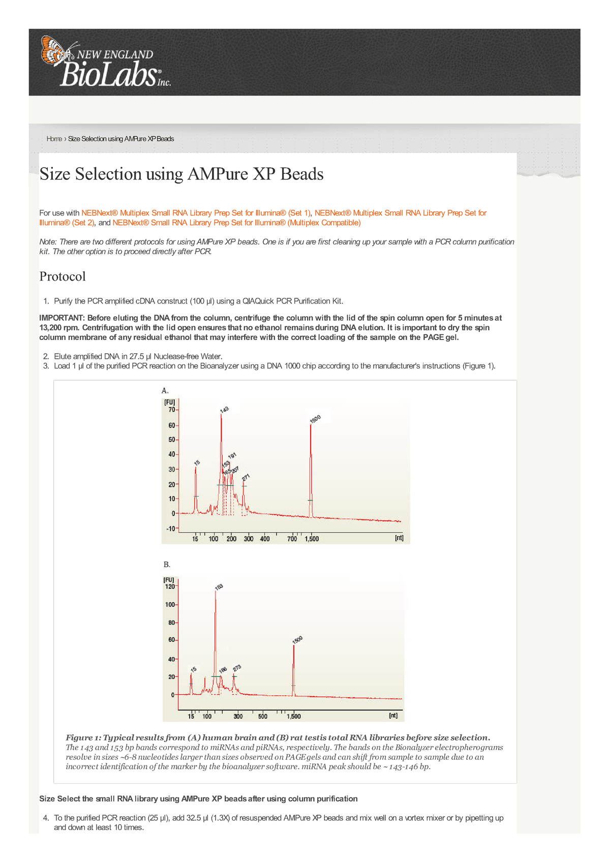 Size Selection using AMPure XP Beads Accounting Studocu