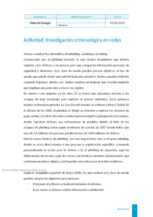 Actividad Individual 1 - Delitos Informáticos - CIBERDELITOS Y ...