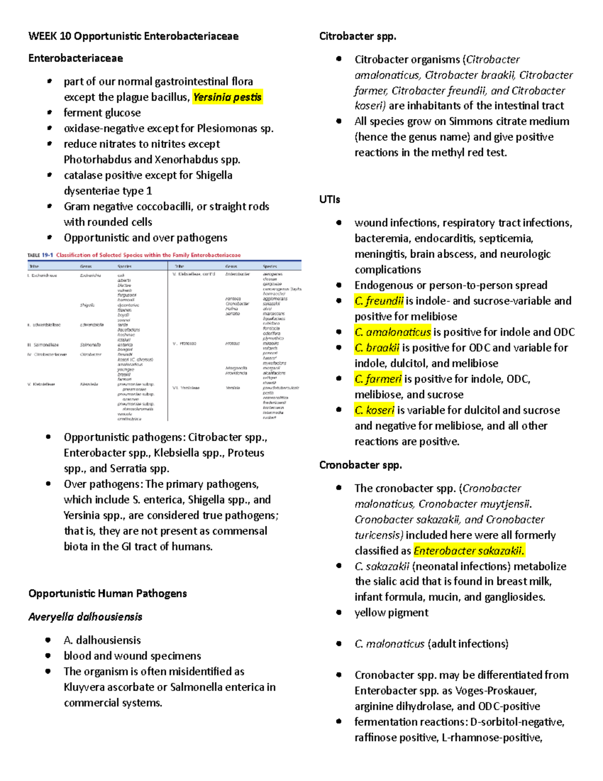 Enterobacteriaceae Infections Enterobacterial Infections