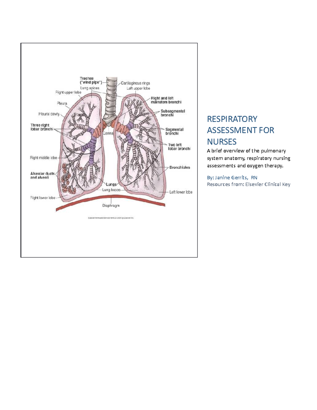 Respiratory Nursing assessment tool RESPIRATORY ASSESSMENT FOR NURSES