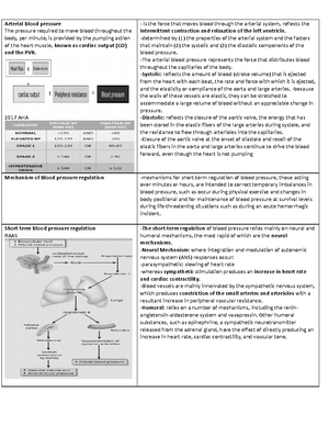 Pathoflow Sheet Template - Pathoflow Sheet Template Etiology ...