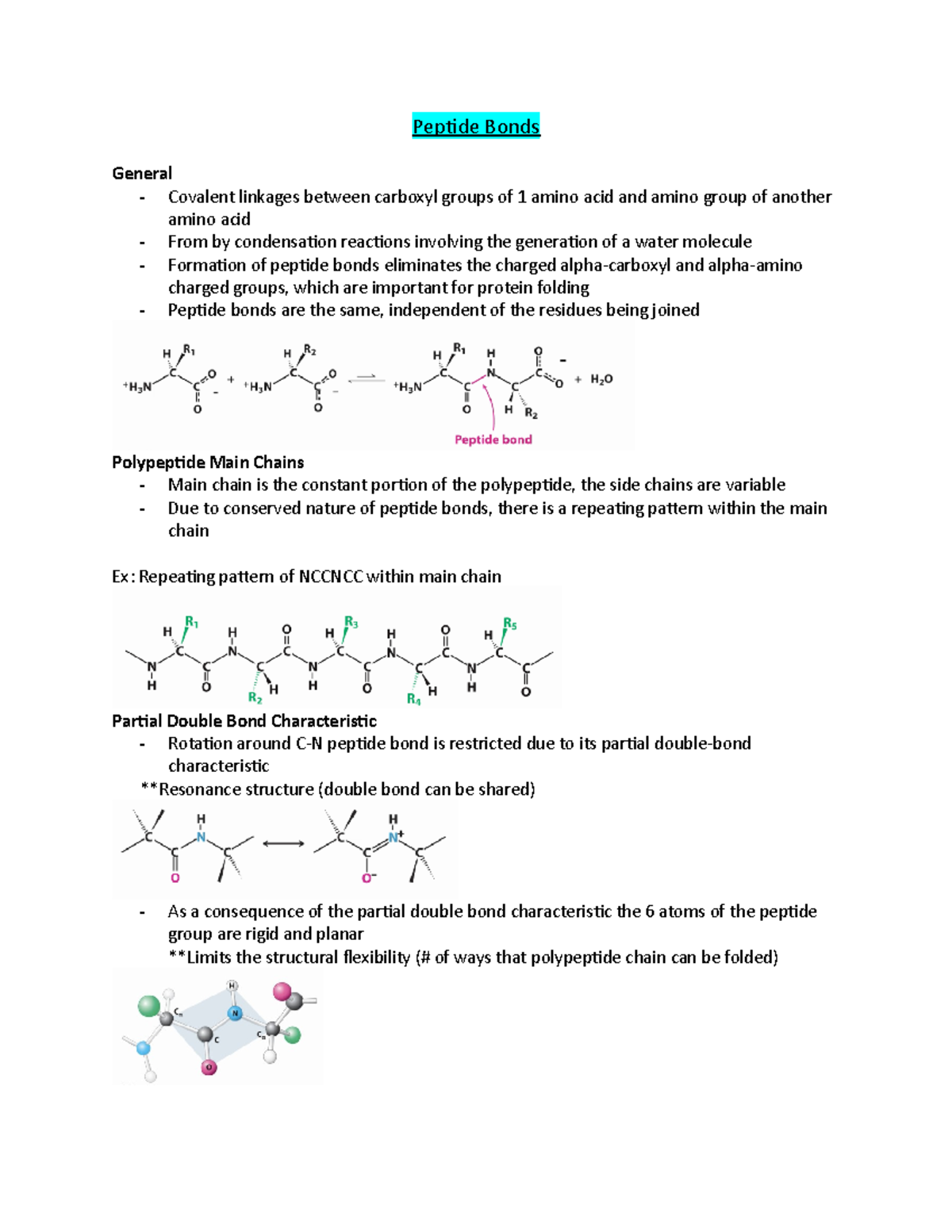 BMSC module 4 notes - Peptide Bonds General - Covalent linkages between ...