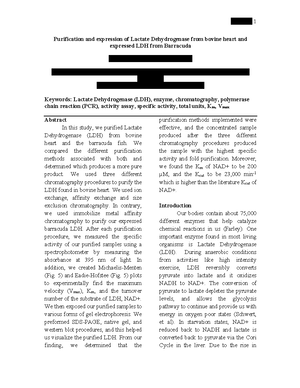 We wrote a big report for our lab class that we worked on for the whole ...