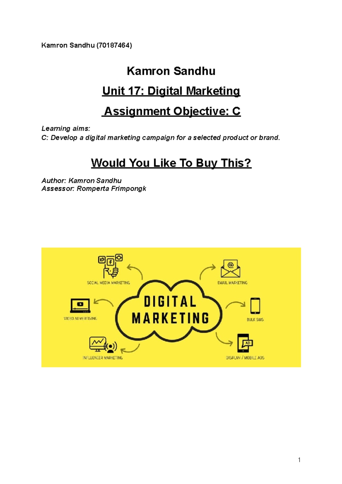 Unit 17 Digital Marketing C - Kamron Sandhu (70187464) Kamron Sandhu ...