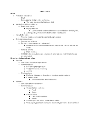Heart defects handout - An opening in the septum between the right ...