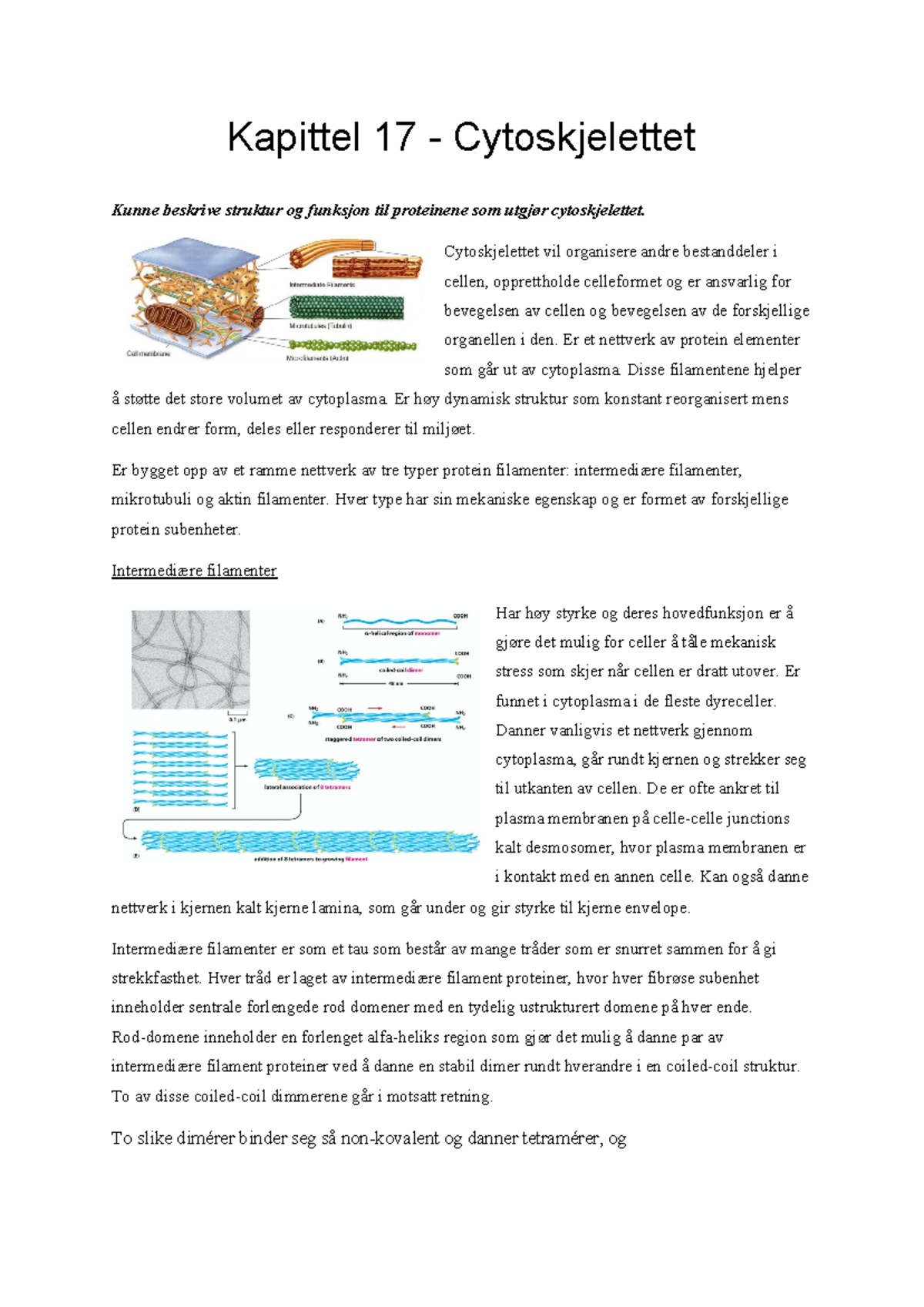 Kapittel 17 - Cytoskjelettet - Kapittel 17 - Cytoskjelettet Kunne ...
