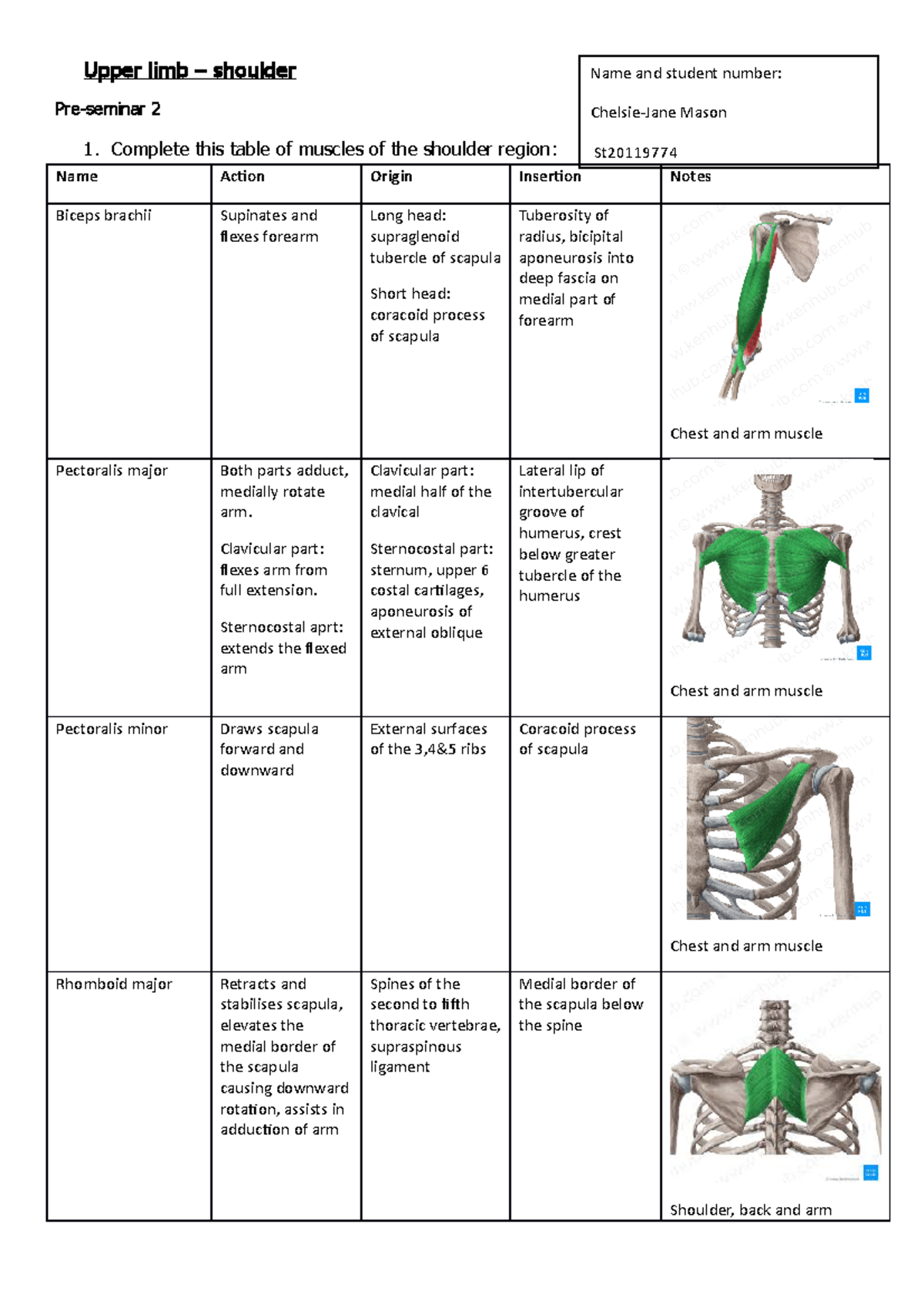 Shoulder 2 - Upper limb – shoulder Pre-seminar 2 1. Complete this table ...