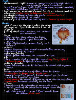 Chapter 4 (Visual System The Brain) don’t need for exam - the optic ...