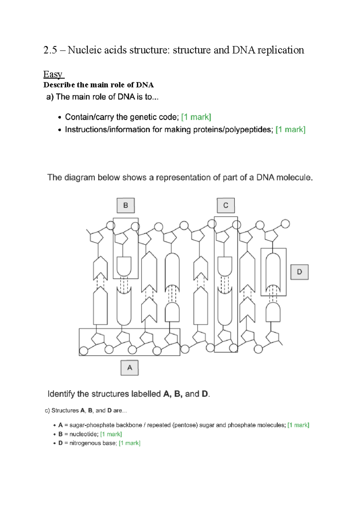 2.5 past paper question 2 Nucleic acids structure structure and