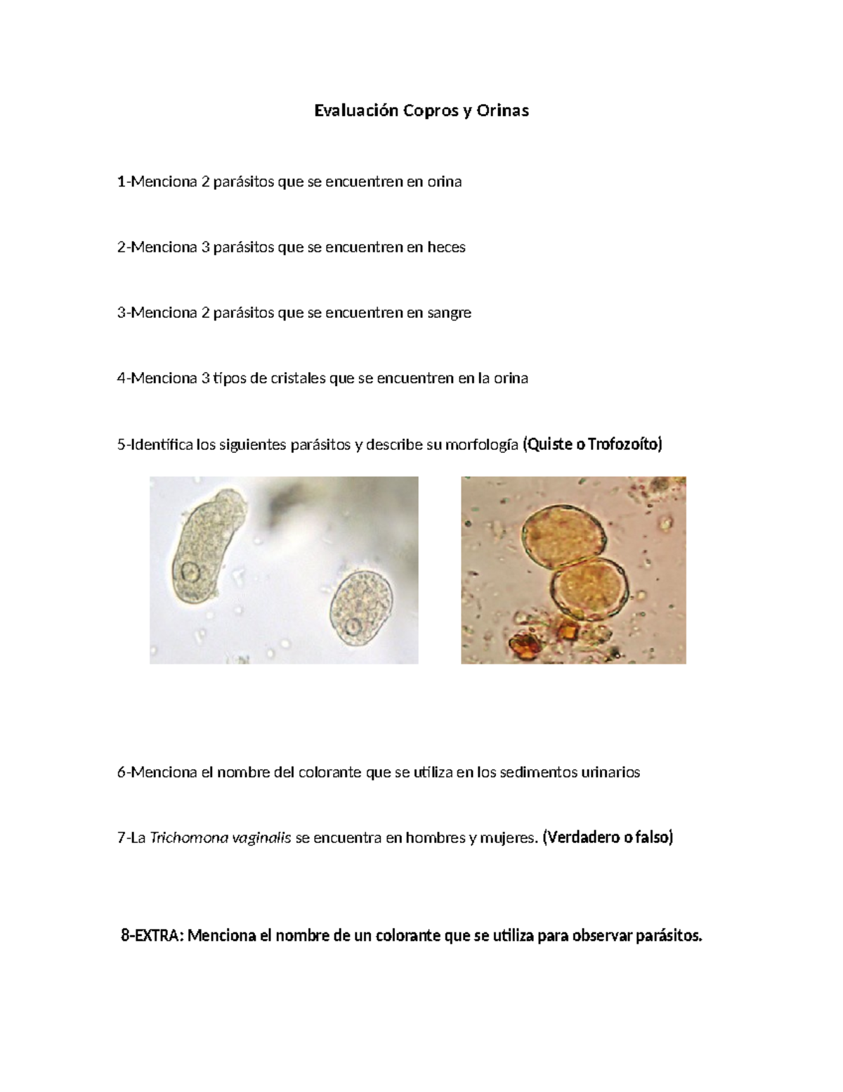 Evaluación Copros y Orinas - Inicio - Evaluación Copros y Orinas 1 ...