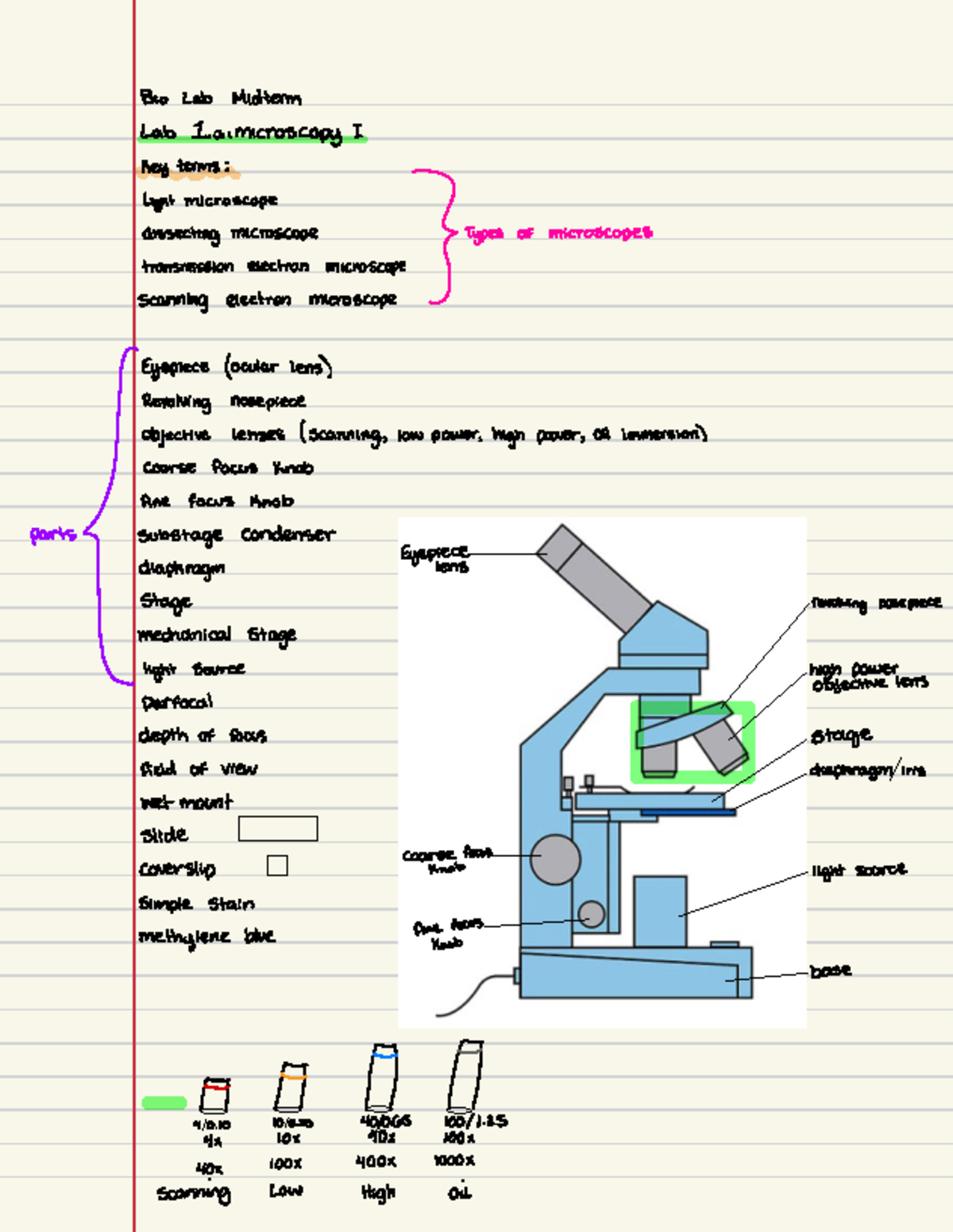 Lab Midterm Study - Bio Lab Midterm Lab Ammicroscopy I key terms ...
