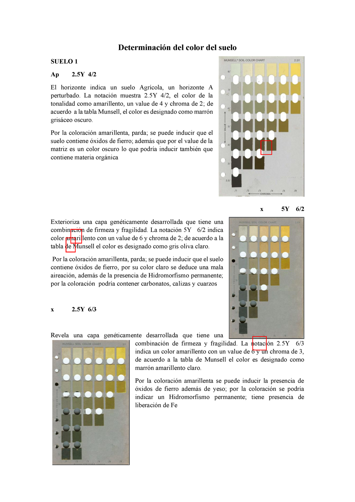 Práctica Color Suelo TABLA MUNSELL - Determinación Del Color Del Suelo ...