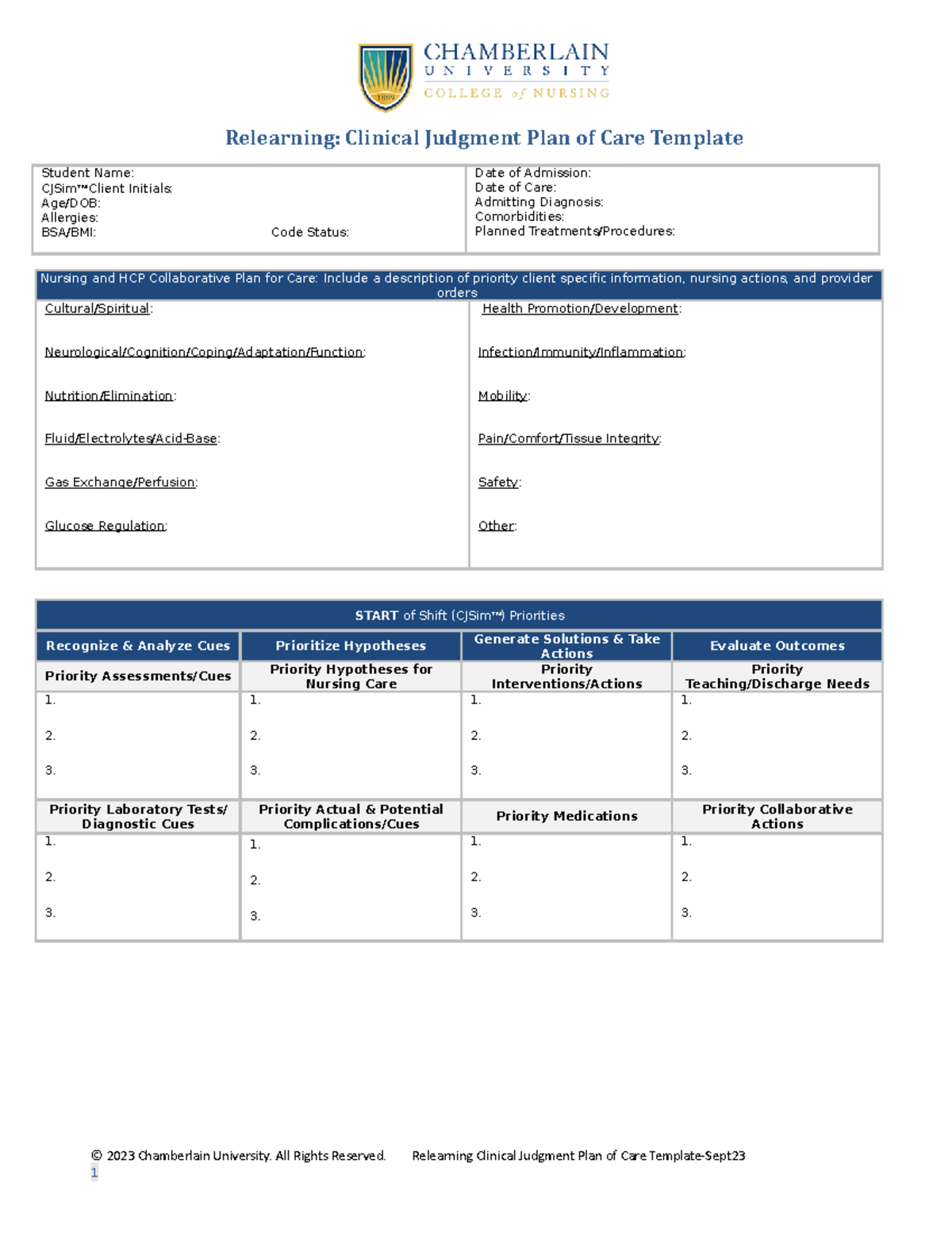 Relearning Clinical Judgment Plan of Care Template Sept23 Student