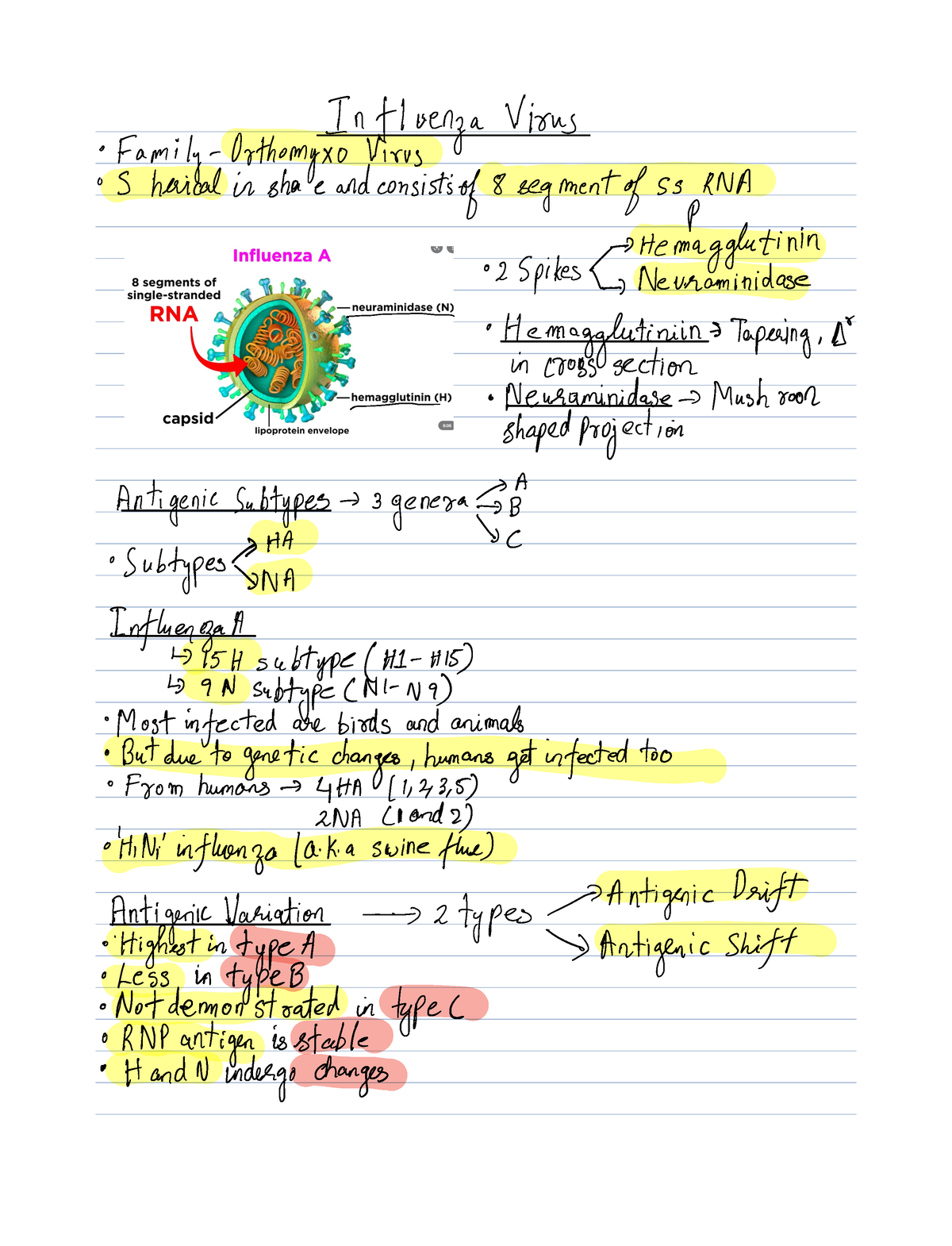 essay on lumpy virus in english