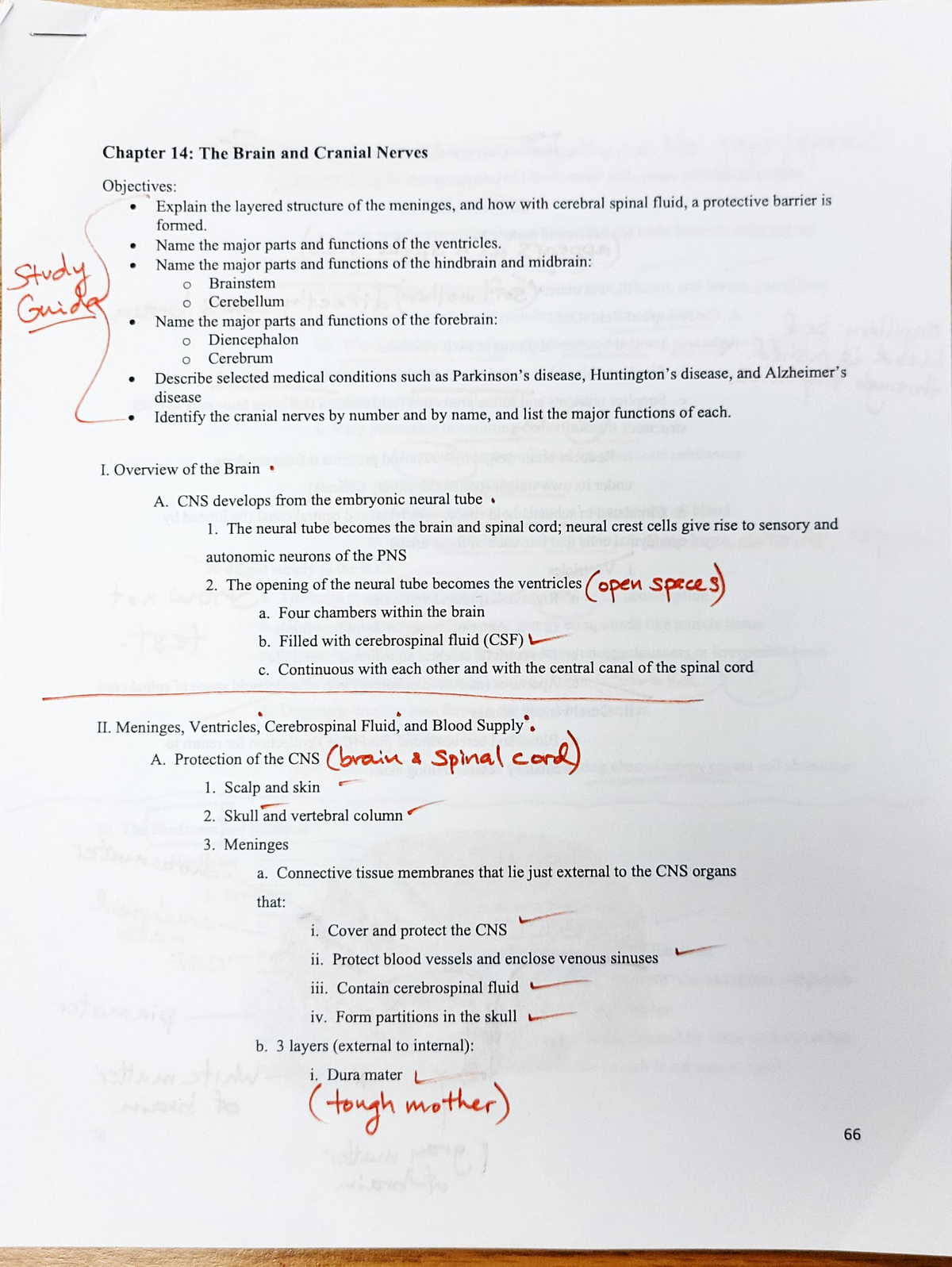 Chapter 14 Notes - BIOL 1551 - Studocu