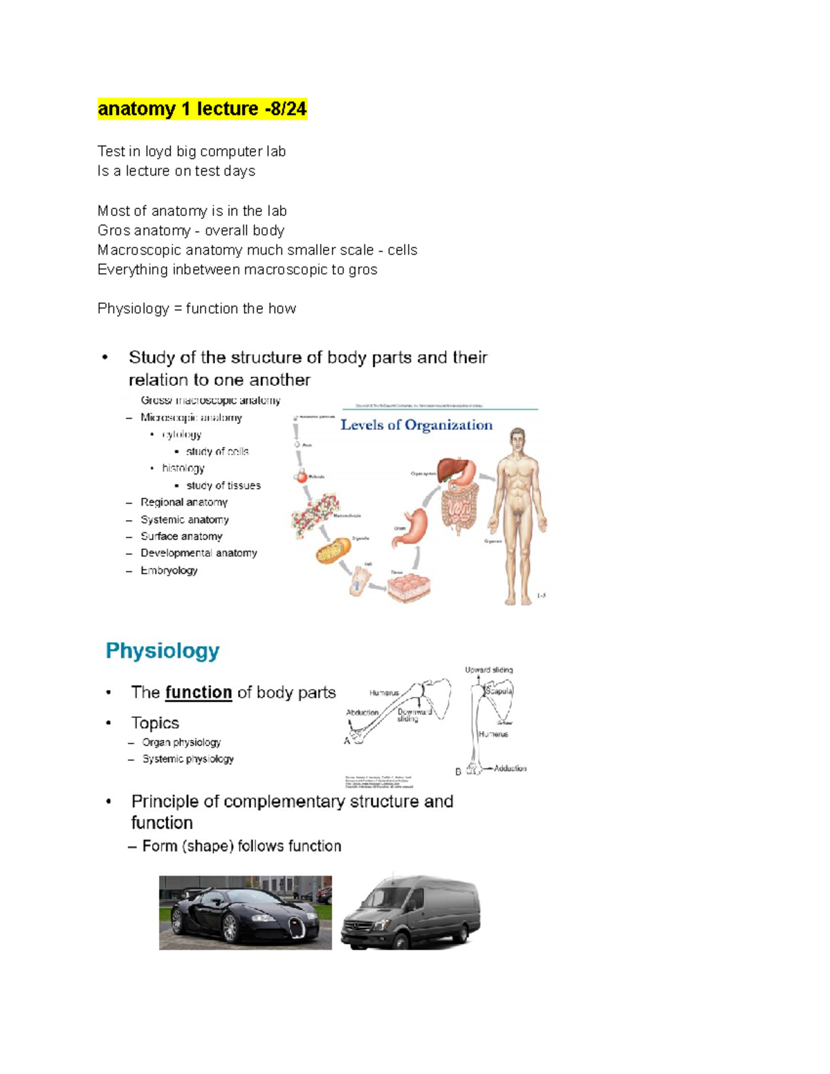 Anatomy TEST 1 - Lecture Notes - anatomy 1 lecture -8/ Test in loyd big ...