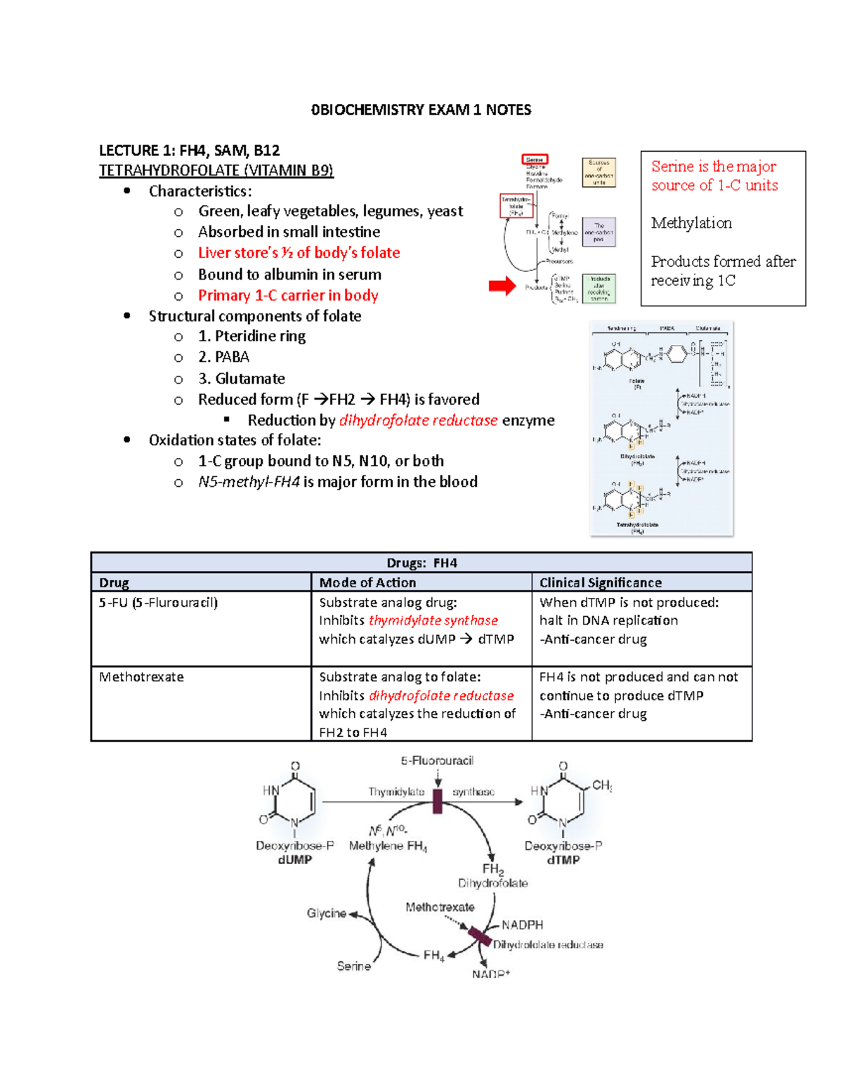 Biochemistry EXAM 1 Notes (2) (1) - 0BIOCHEMISTRY EXAM 1 NOTES LECTURE ...