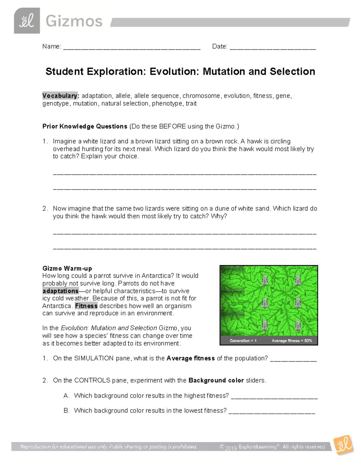 Evolution Mutation Selection SE - Name ...