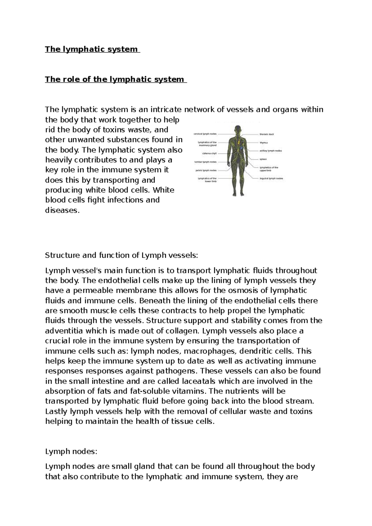 Lymphatics assignment - The lymphatic system The role of the lymphatic ...