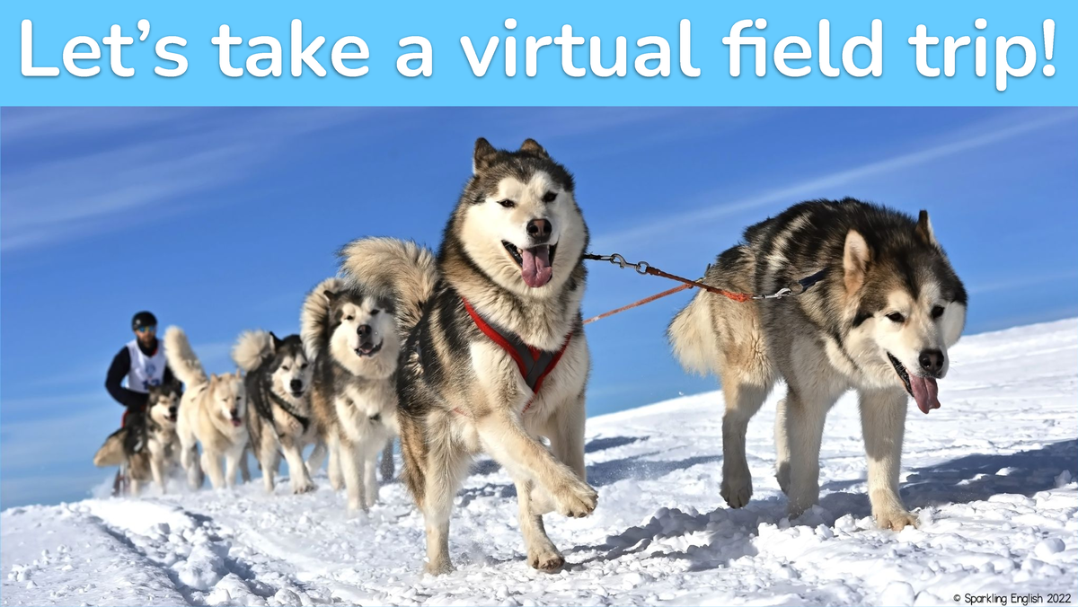 Copy of Virtual Field Trip - The Taiga - Let’s take a virtual field ...