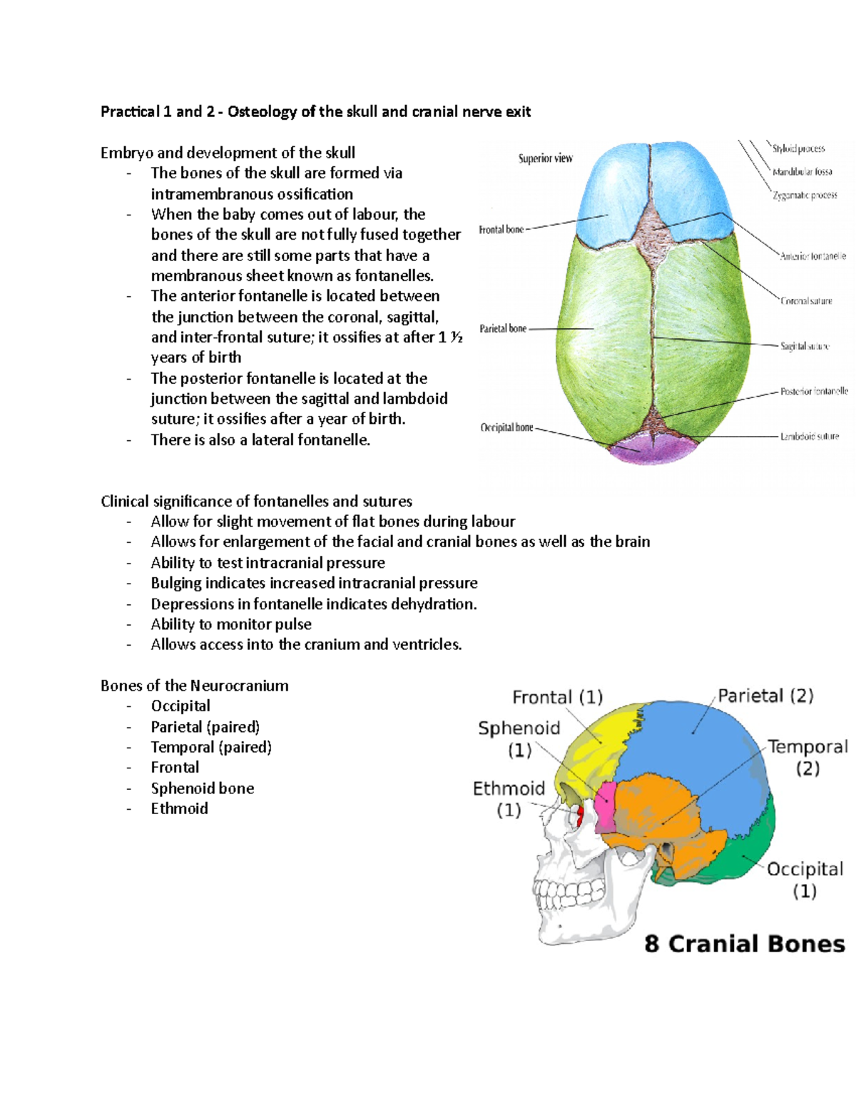 Anatomy and Physiology 1 - Practical 1 and 2 - Osteology of the skull ...